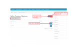 Marketplace Seller Customization Options Marketplace Seller Customization Options